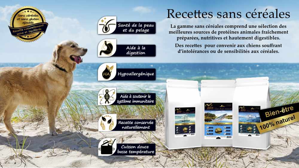 croquettes-sans-cereales-pour-chien-avec-problemes-de-peau.